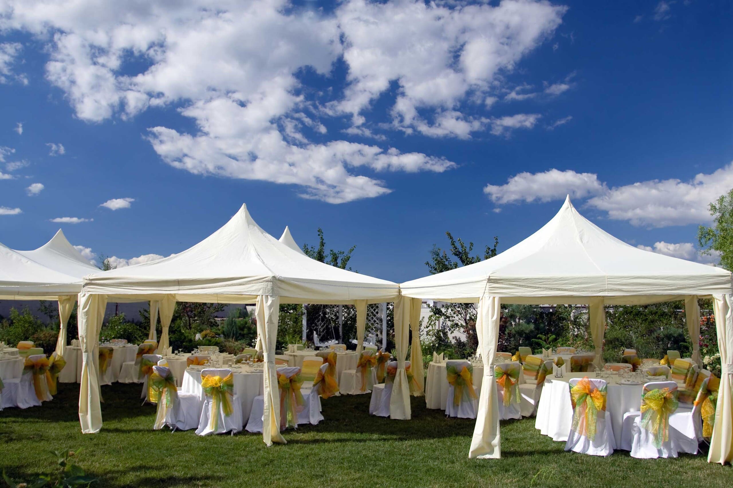 porta potty rentals for weddings