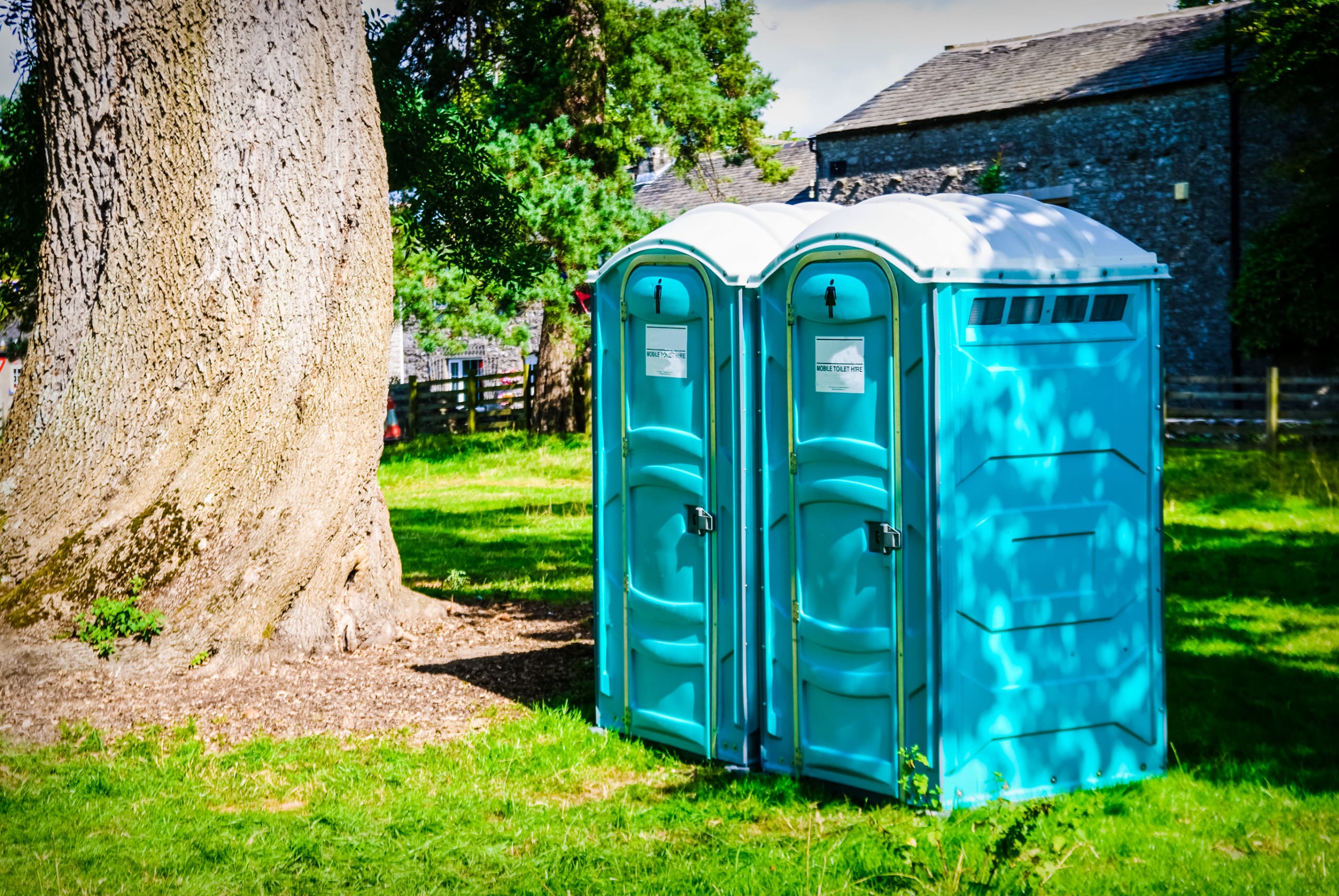 Two blue portable toilets next to trees in a field.