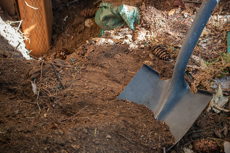 dirt can be disposed of with a clean dirt dumpster